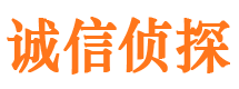 香坊市私家侦探